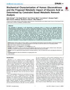 Biochemical Characterization of Human