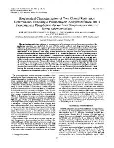 Biochemical Characterization of Two Cloned Resistance Determinants