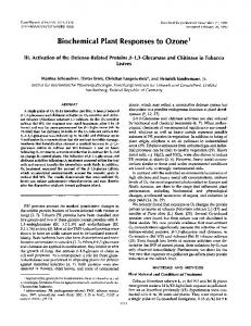 Biochemical Plant Responses to Ozone - Plant Physiology