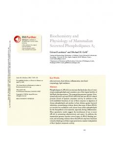 Biochemistry and Physiology of Mammalian ... - Semantic Scholar