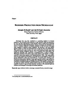 biodiesel production from microalgae