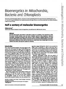 Bioenergetics in Mitochondria, Bacteria and ... - Semantic Scholar