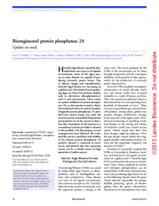 Bioengineered protein phosphatase 2A