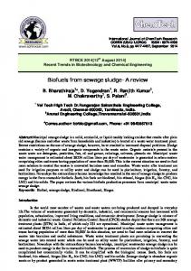 Biofuels from sewage sludge- A review