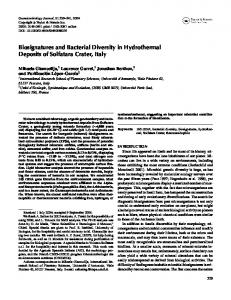 Biosignatures and Bacterial Diversity in Hydrothermal ... - CiteSeerX