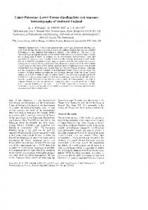 biostratigraphy of southeast England