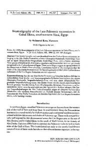 Biostratigraphy of the Late Paleozoic succession in ...