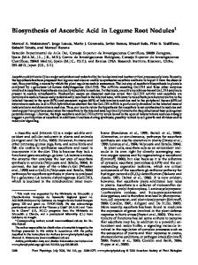 Biosynthesis of Ascorbic Acid in Legume Root ... - Plant Physiology