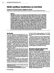 Biotin synthase mechanism: an overview - Semantic Scholar