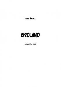 BIRDLAND - orchestral score production
