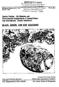 black, green, and red abalones - Aquatic Commons
