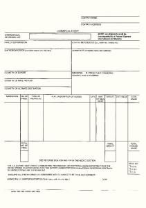 Blank Form of Commercial Invoice