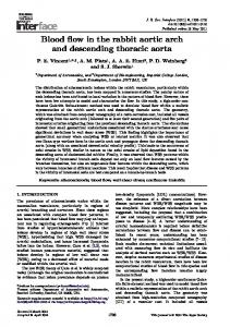 Blood flow in the rabbit aortic arch and descending ...