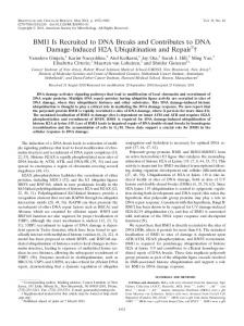 BMI1 Is Recruited to DNA Breaks and Contributes to DNA Damage ...