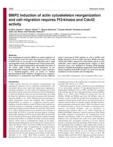 BMP2 induction of actin cytoskeleton