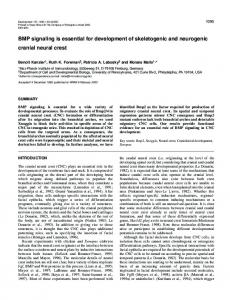 BMPs in cranial neural crest - Development - The Company of Biologists