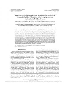 Bone Marrow-Derived Mesenchymal Stem Cells ...