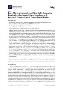 Bone Marrow Mesenchymal Stem Cells