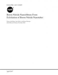 Boron Nitride Nanoribbons From Exfoliation of Boron Nitride Nanotubes