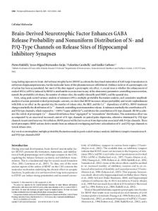 Brain-Derived Neurotrophic Factor Enhances ... - Semantic Scholar