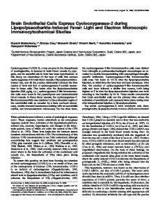 Brain Endothelial Cells Express Cyclooxygenase ... - Semantic Scholar