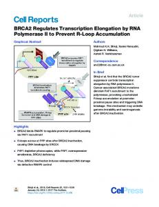 BRCA2 Regulates Transcription Elongation by RNA Polymerase II to