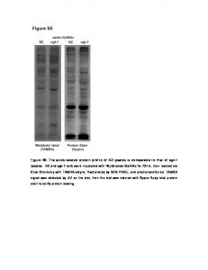 Burnham-Marusich Figure S5 - PLOS