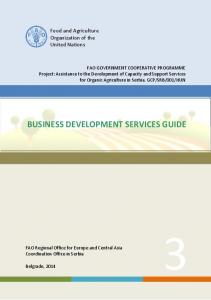 Business Development Services Guide