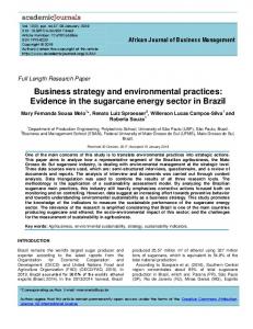 Business strategy and environmental practices