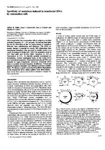 by mammalian cells - Europe PMC