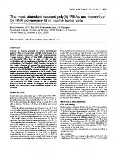 by RNA polymerase Ill in murine tumor cells - BioMedSearch