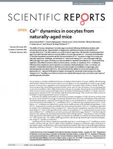 Ca2+ dynamics in oocytes from naturally-aged mice - ORCA - Cardiff