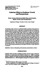 Cadmium Effects on Sunflower Growth and Photosynthesis