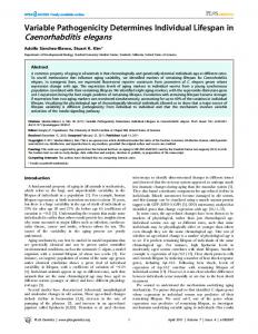 Caenorhabditis elegans - Plos