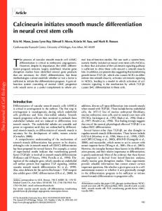 Calcineurin initiates smooth muscle differentiation ... - Semantic Scholar