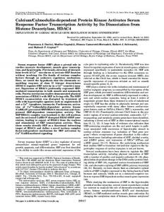 Calcium/Calmodulin-dependent Protein Kinase Activates Serum ...