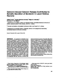 Calcium-induced calcium release contributes to ... - Wiley Online Library