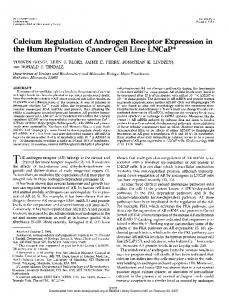 Calcium Regulation of Androgen Receptor Expression in the Human ...