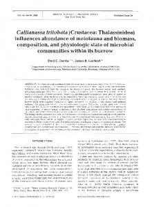 Callianassa trilobata - Inter Research