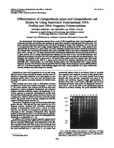 Campylobacter jejuni - Journal of Clinical Microbiology - American ...