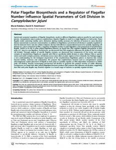 Campylobacter jejuni - PLOS