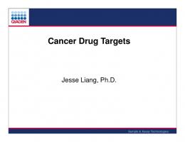 Cancer Drug Targets - SABiosciences