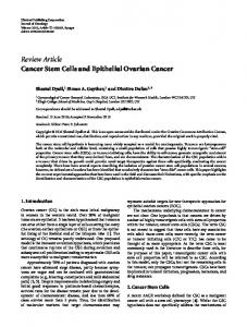 Cancer Stem Cells and Epithelial Ovarian Cancer