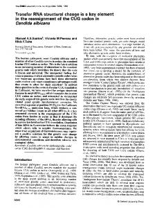 Candida albicans - NCBI