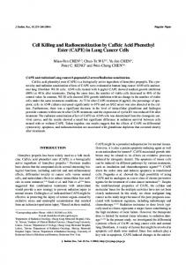 (CAPE) in Lung Cancer Cells