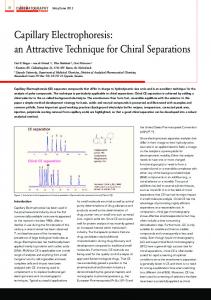 Capillary Electrophoresis - Kantisto BV