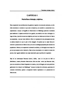 Capitulo 1-Maximiliano