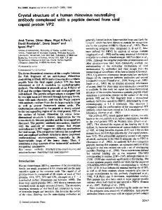 capsid protein VP2 - NCBI