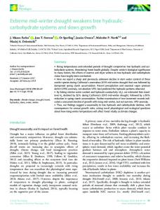 carbohydrate systems and slows growth