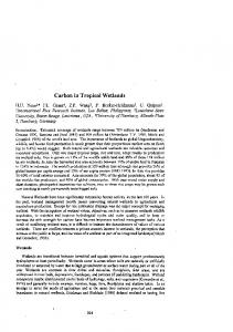 Carbon in Tropical Wetlands